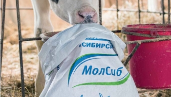 Продукция «МолСиб»: только реальные отзывы клиентов о продукции