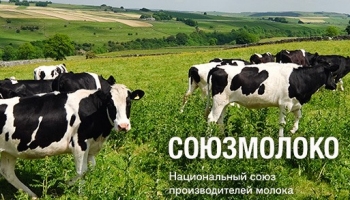 Сибирские молочники объединяются