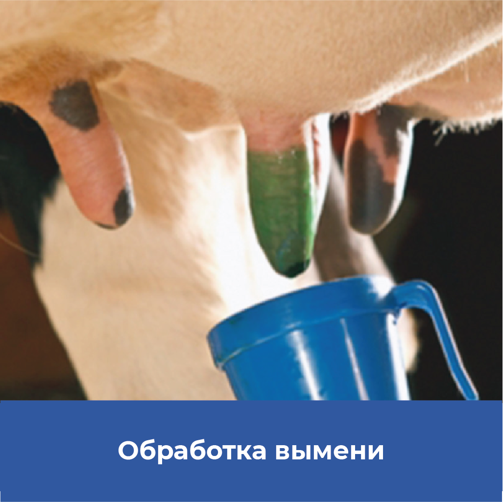 Оборудование