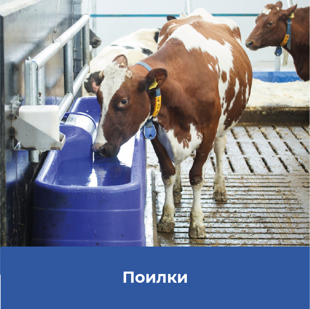 Кормосмесители